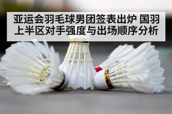 badminton shuttlecock court